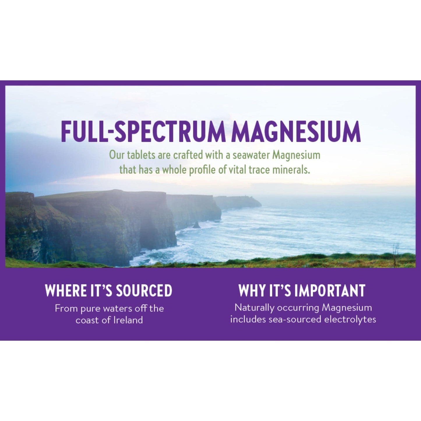 30 Tablets | New Chapter Magnesium Plus Senenium and Zinc Infographic