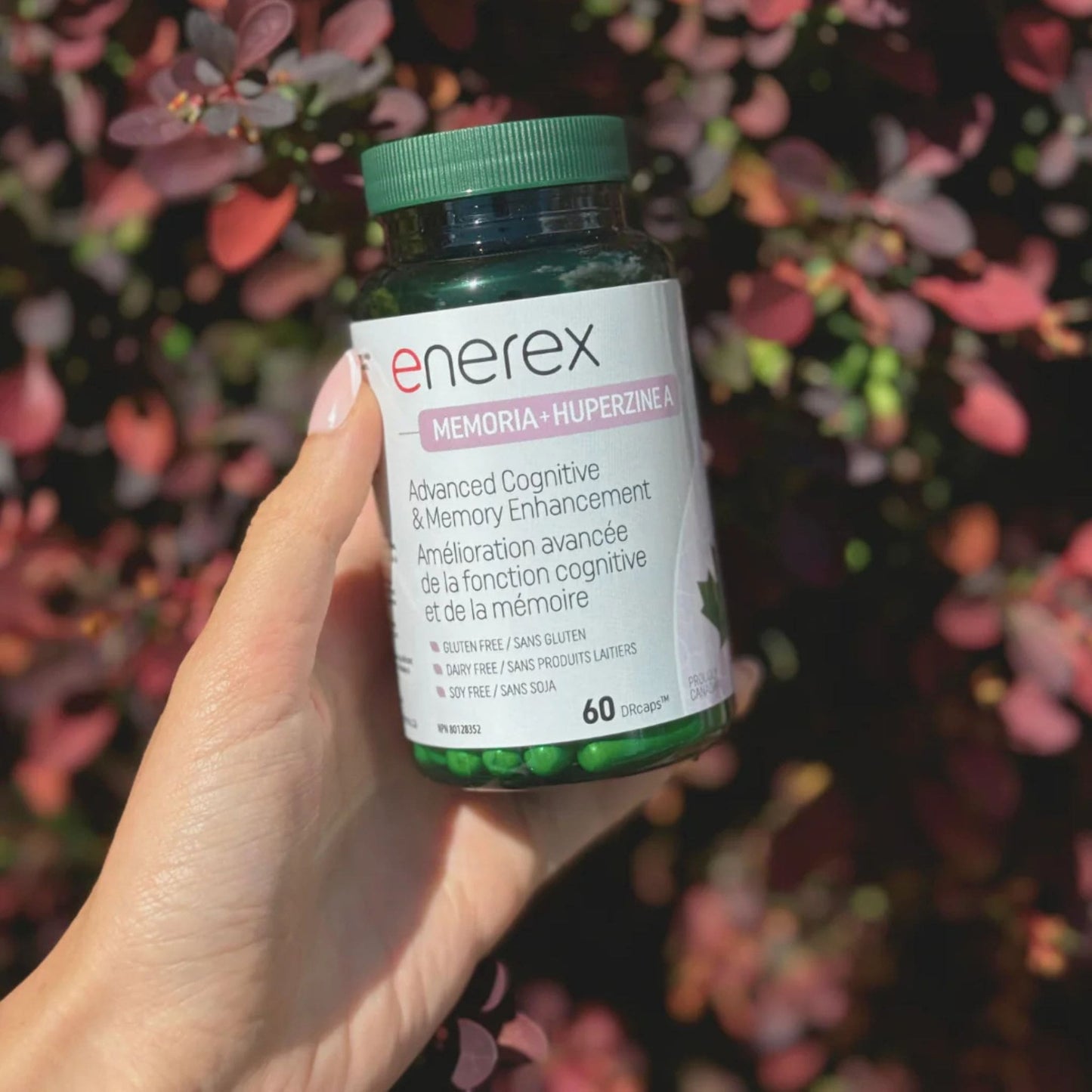 60 Delayed Release Vegetable Capsules | Enerex Memoria and Huperzine A