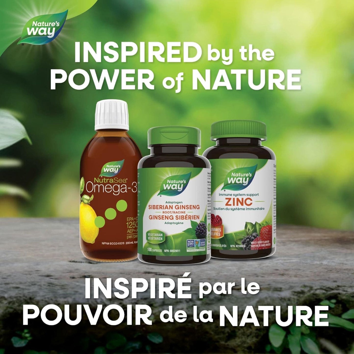 100 Vegetable Capsules | Nature's Way Siberian Ginseng Root