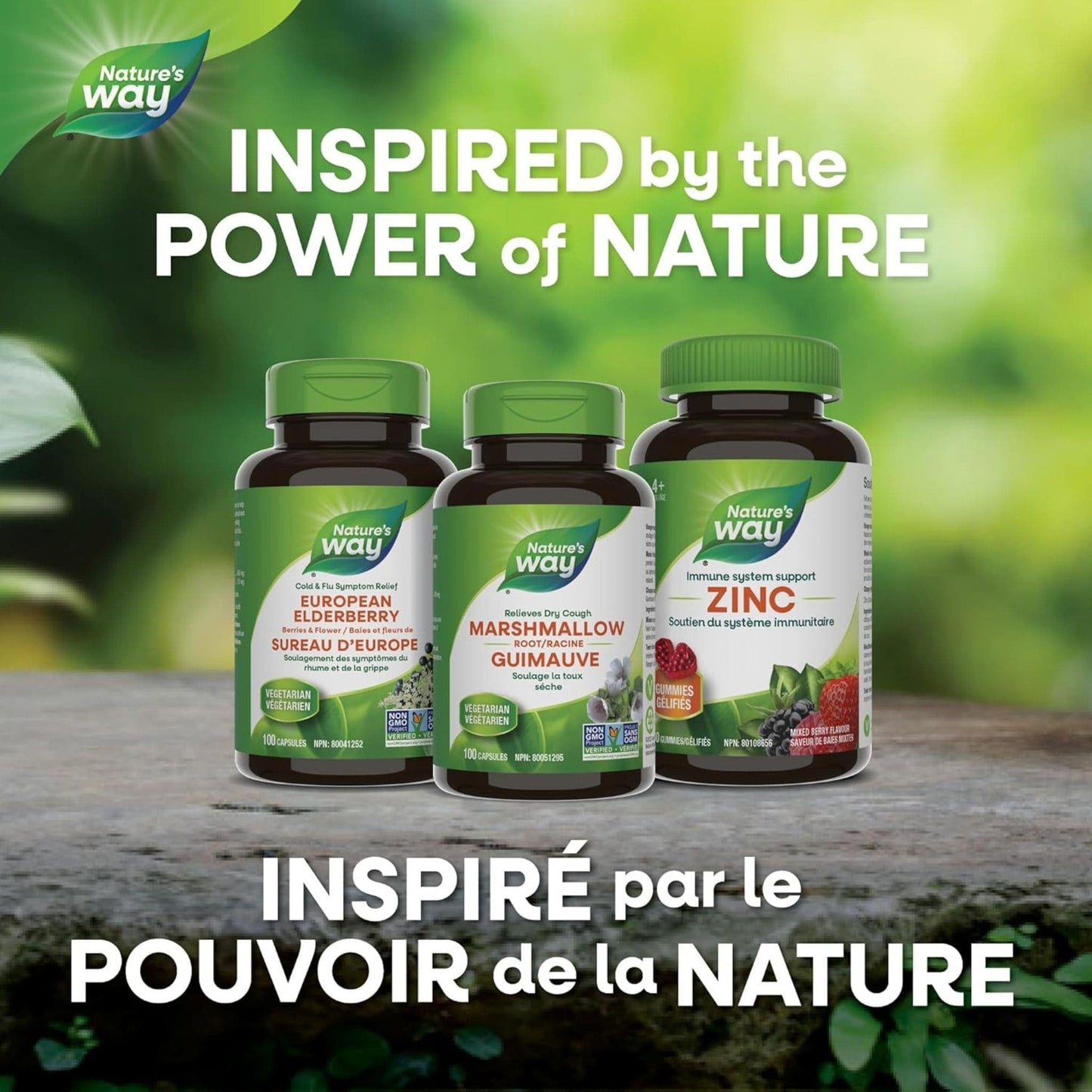 100 Vegetable Capsules | Nature's Way Marshmallow Root