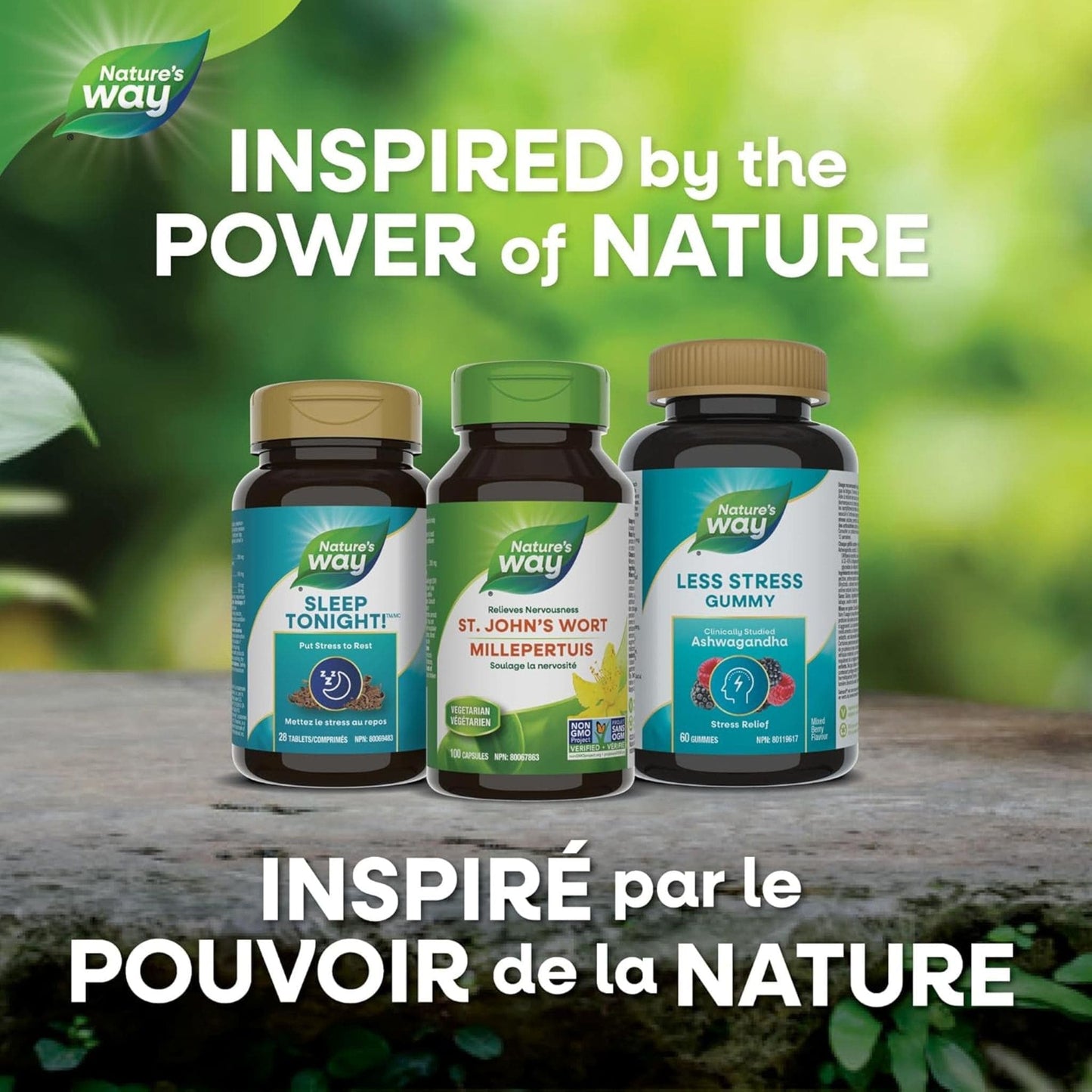 100 Vegetarian Capsules | Nature's Way St. John's Wort