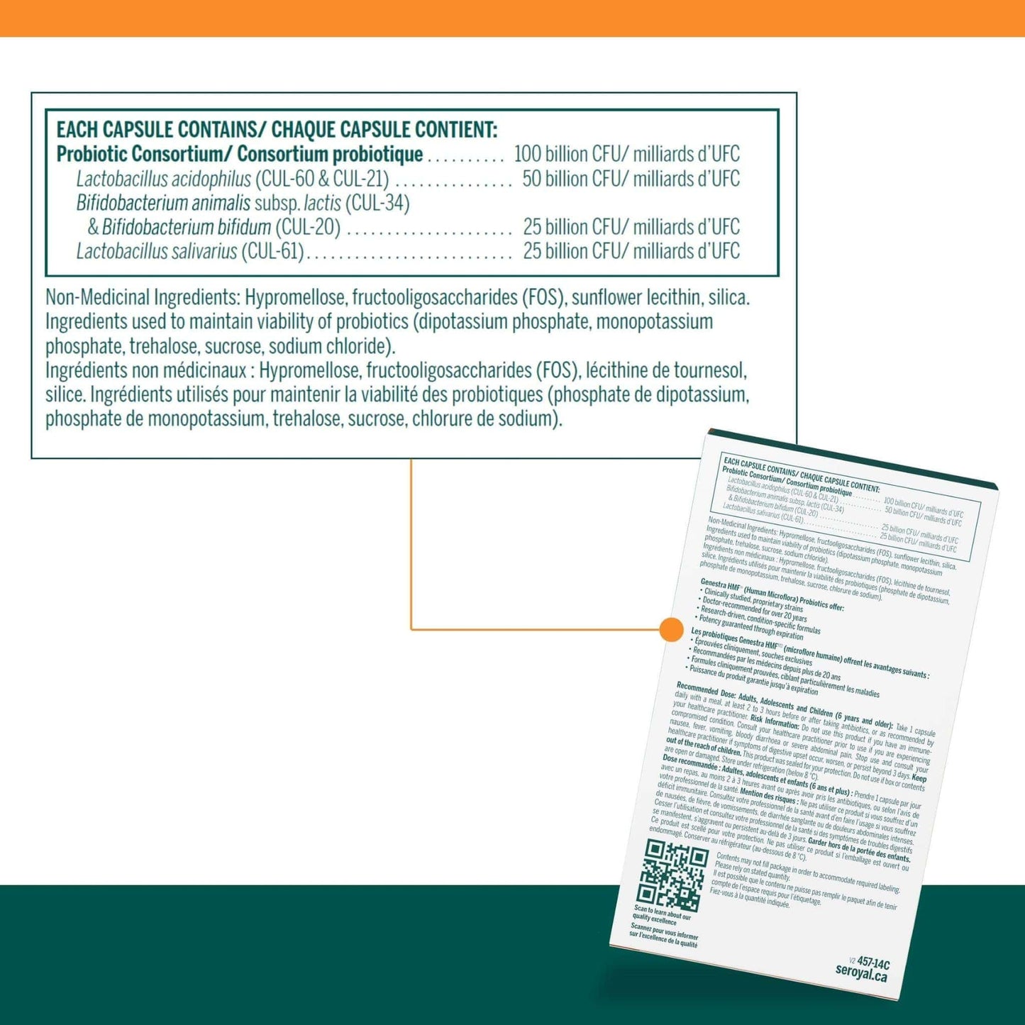 14 Vegetarian Capsules | Genestra Brands HMF Replenish Capsules 100 Billion