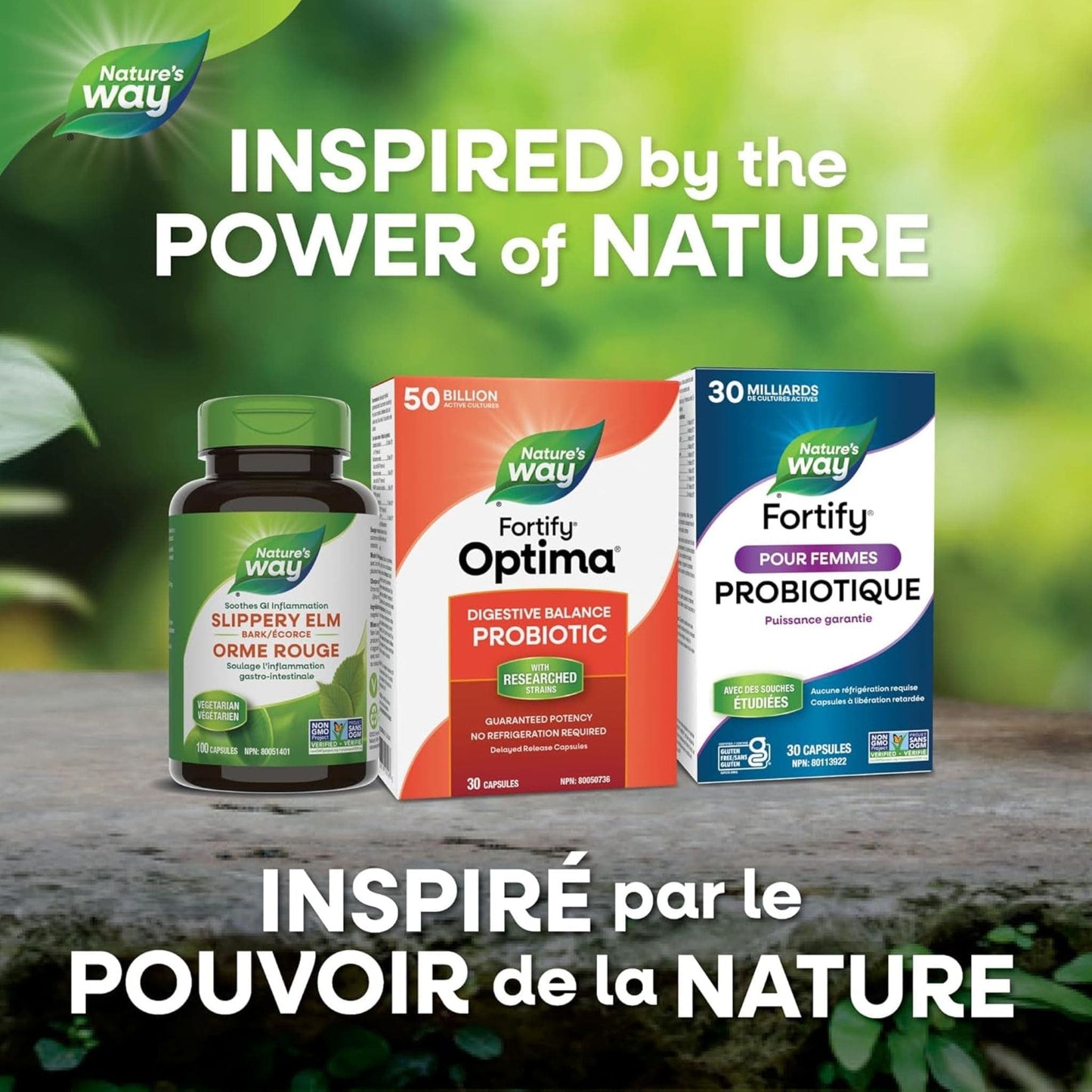 30 Capsules | Nature's Way Fortify Optima Digestive Balance Probiotic, 50 Billion Active Cultures