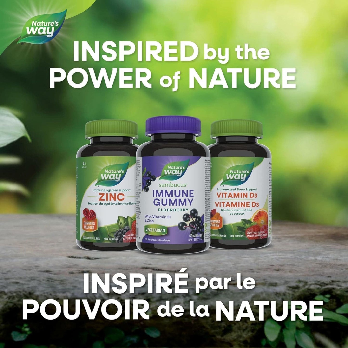 60 Gummimes | Nature's Way Sambucus Immune Gummy Elderberry