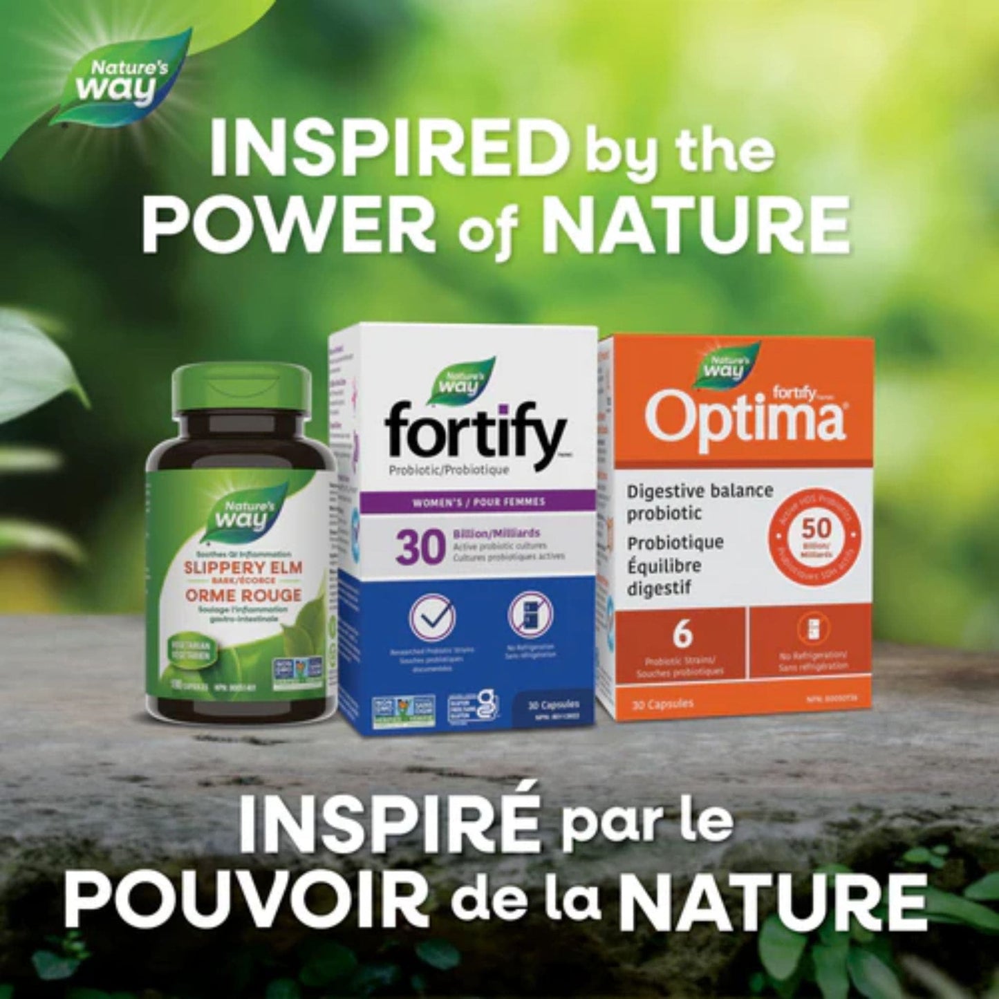 30 Capsules | Nature's Way Fortify Women's Probiotic 30 Billion