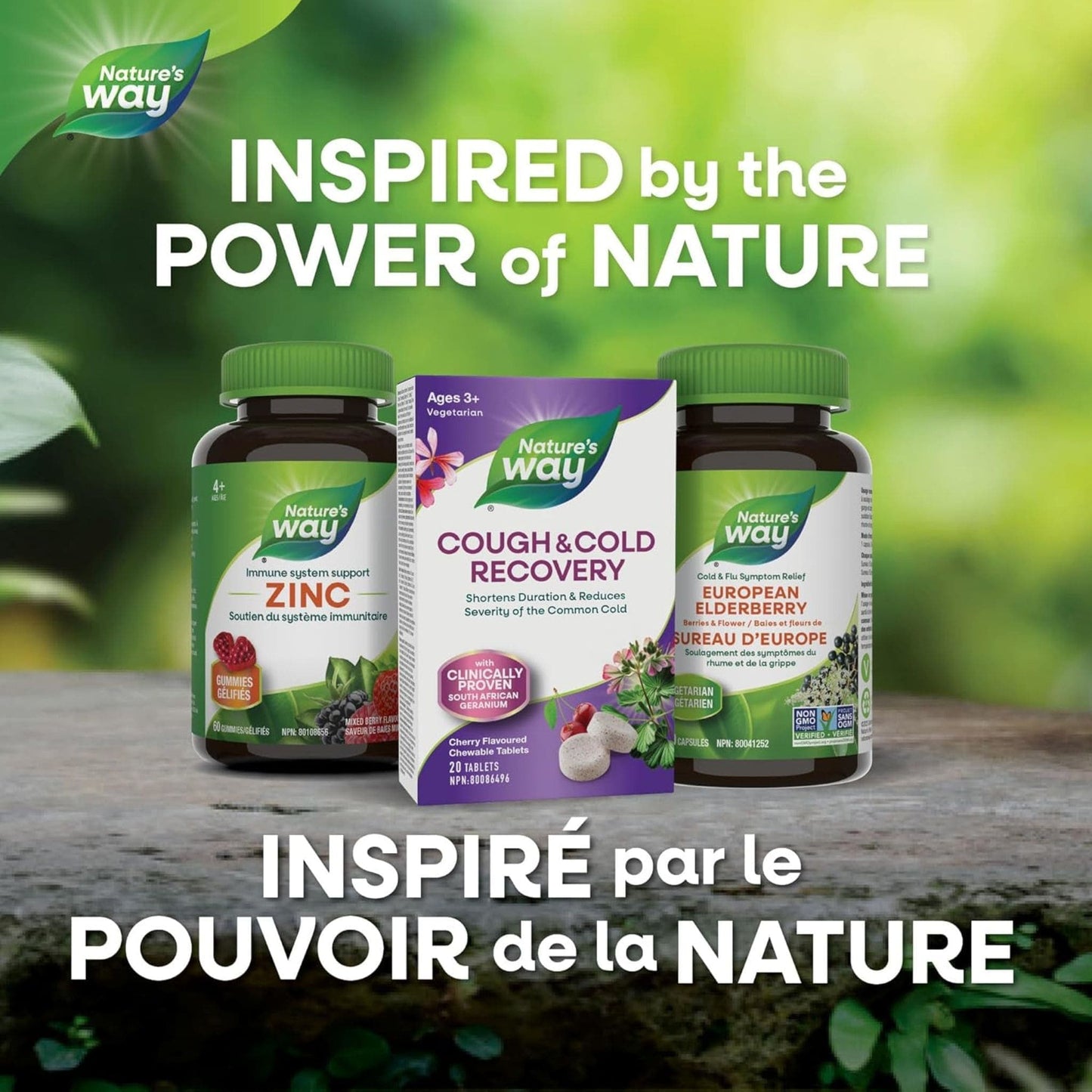 Cherry Flavour, 20 Chewable Tablets | Nature's Way Cough and Cold Recovery Chewable