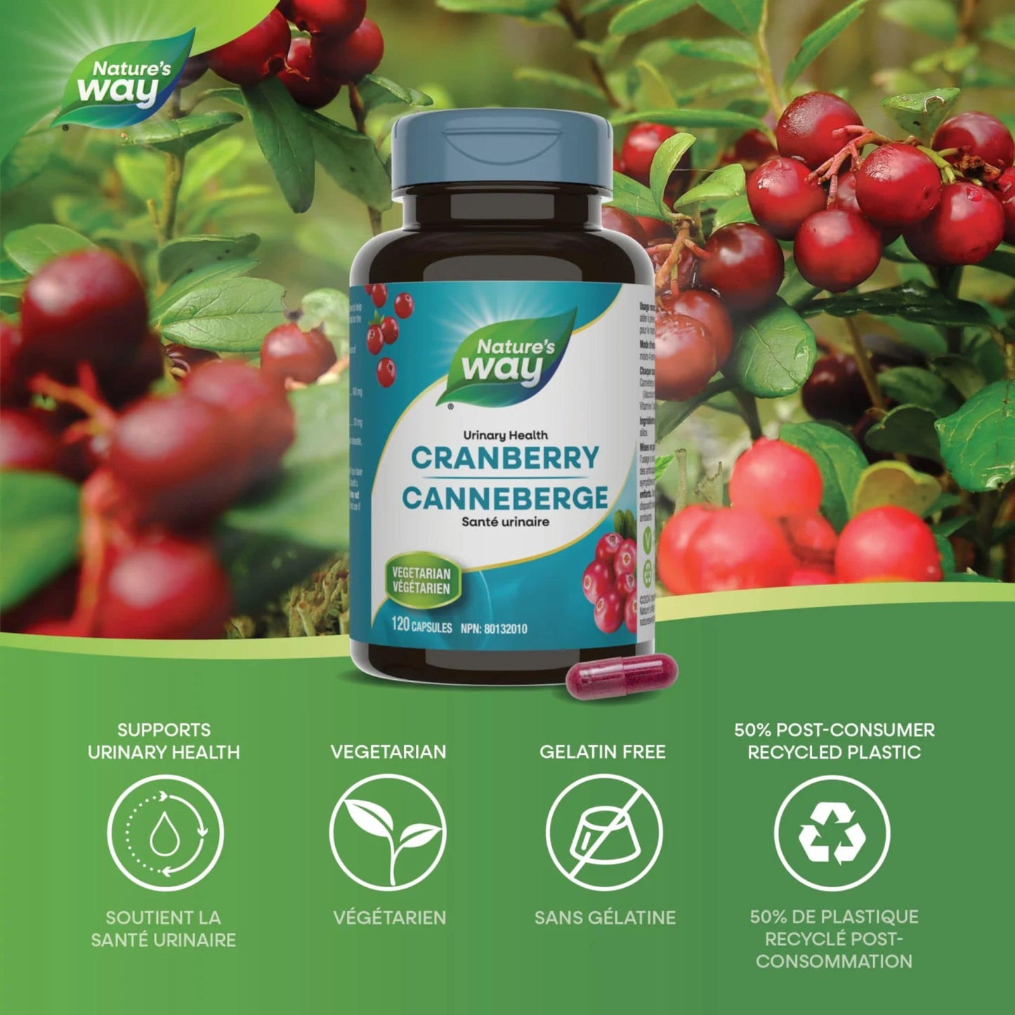 120 Vegetable Capsules| Nature's Way Cranberry