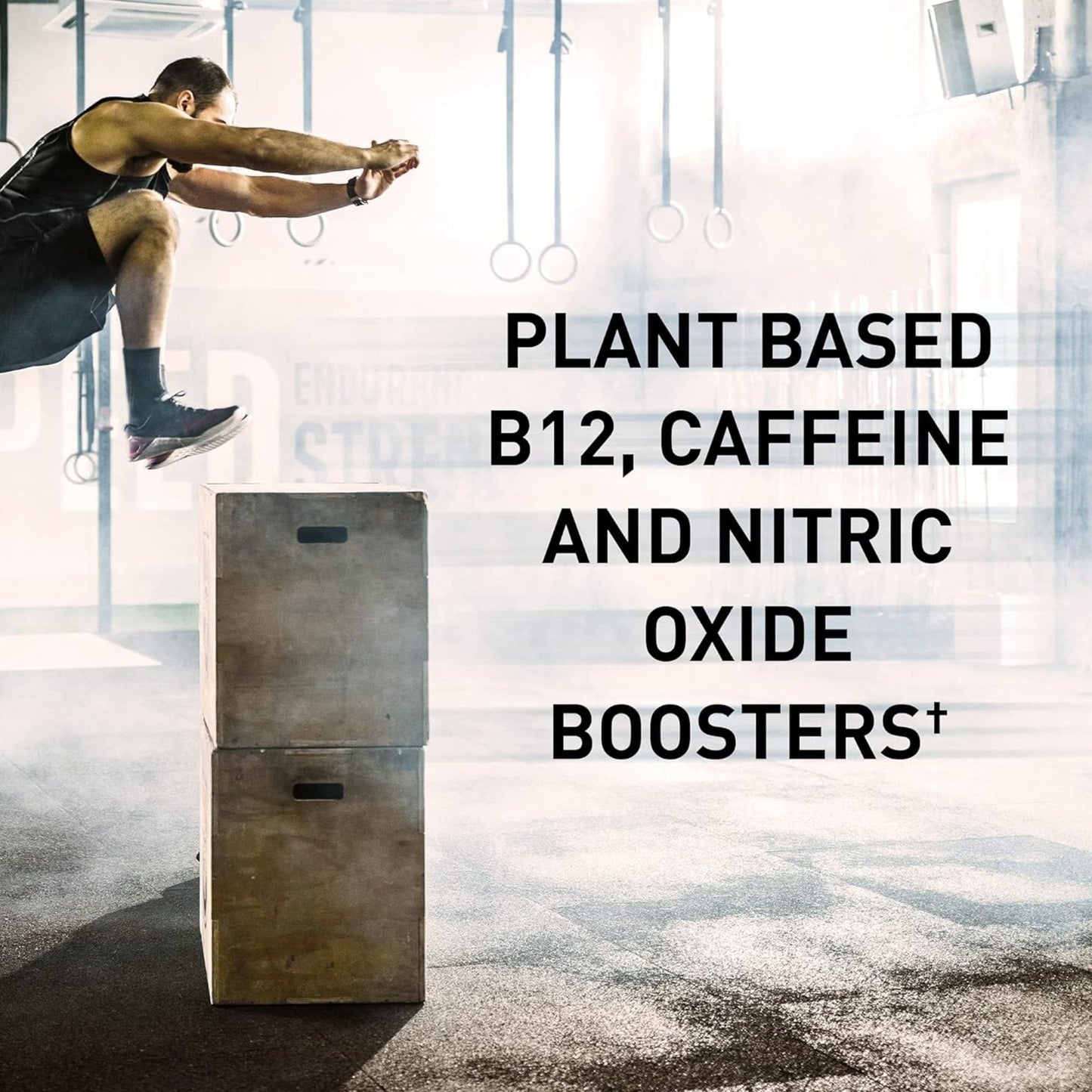 Blackberry Flavour, 432g/30 Servings | Garden of Life Organic Plant-Based Energy + Focus Powder