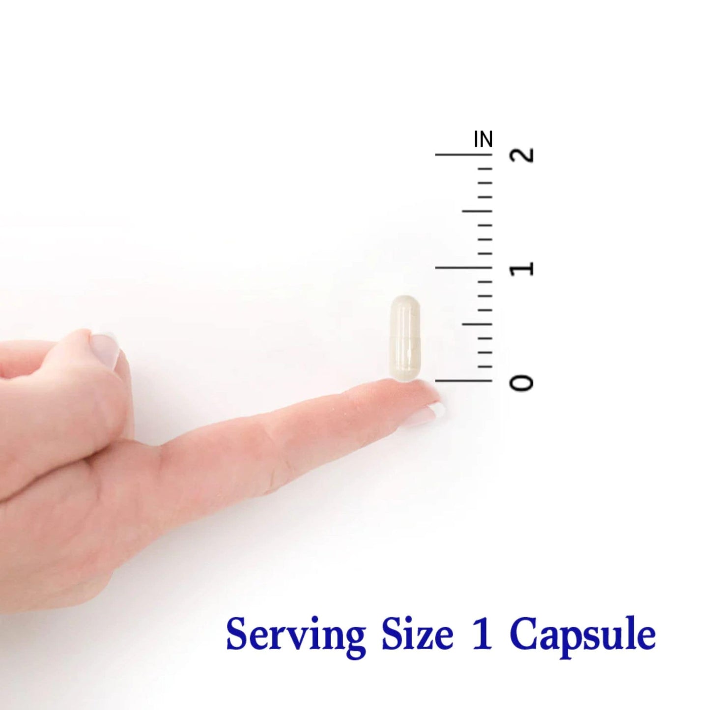 30 Vegetable Capsules | Dr. Formulated Probiotics Once Daily Men's Infographic