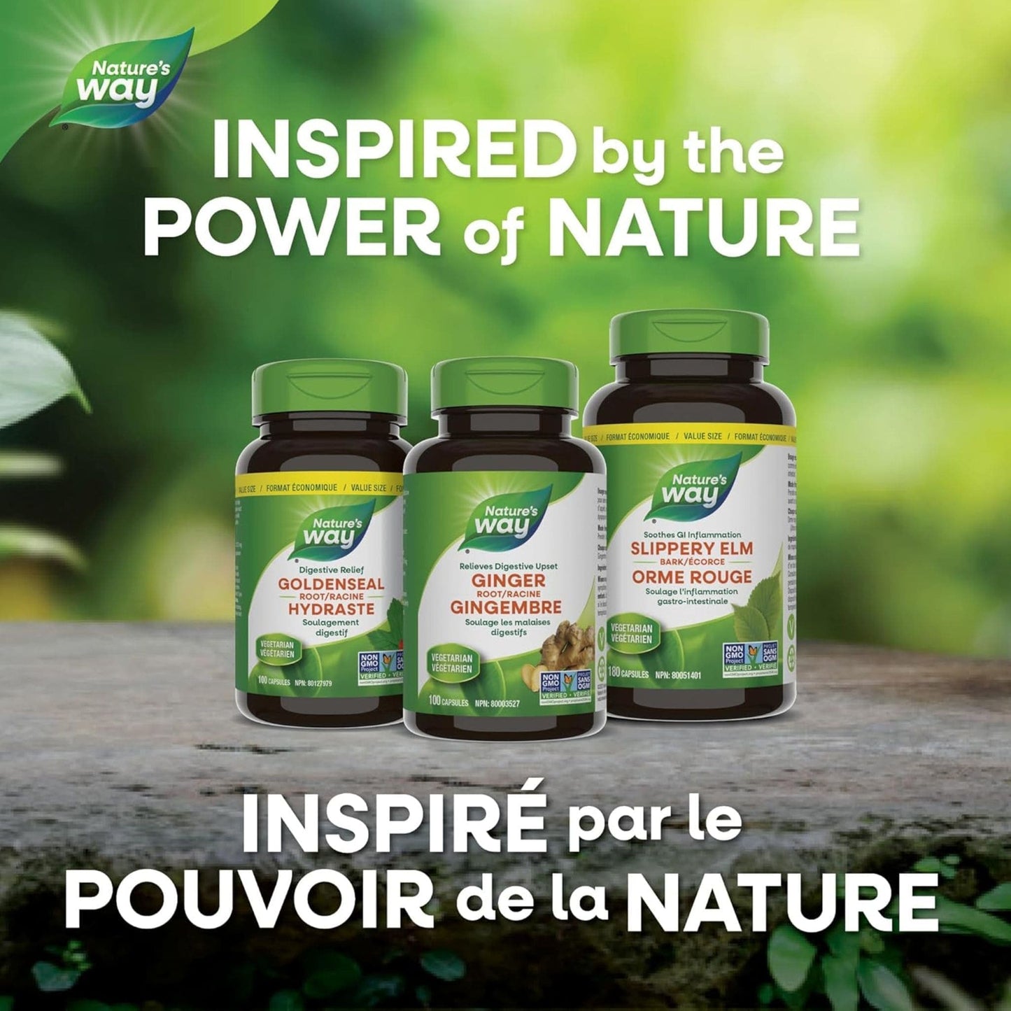 180 Vegetarian Capsules | Nature's Way Dandelion Root