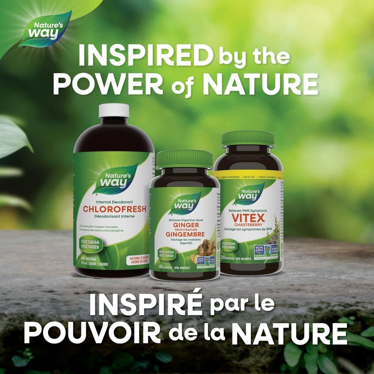 100 Vegetarian Capsules | Nature's Way Goldenseal Root