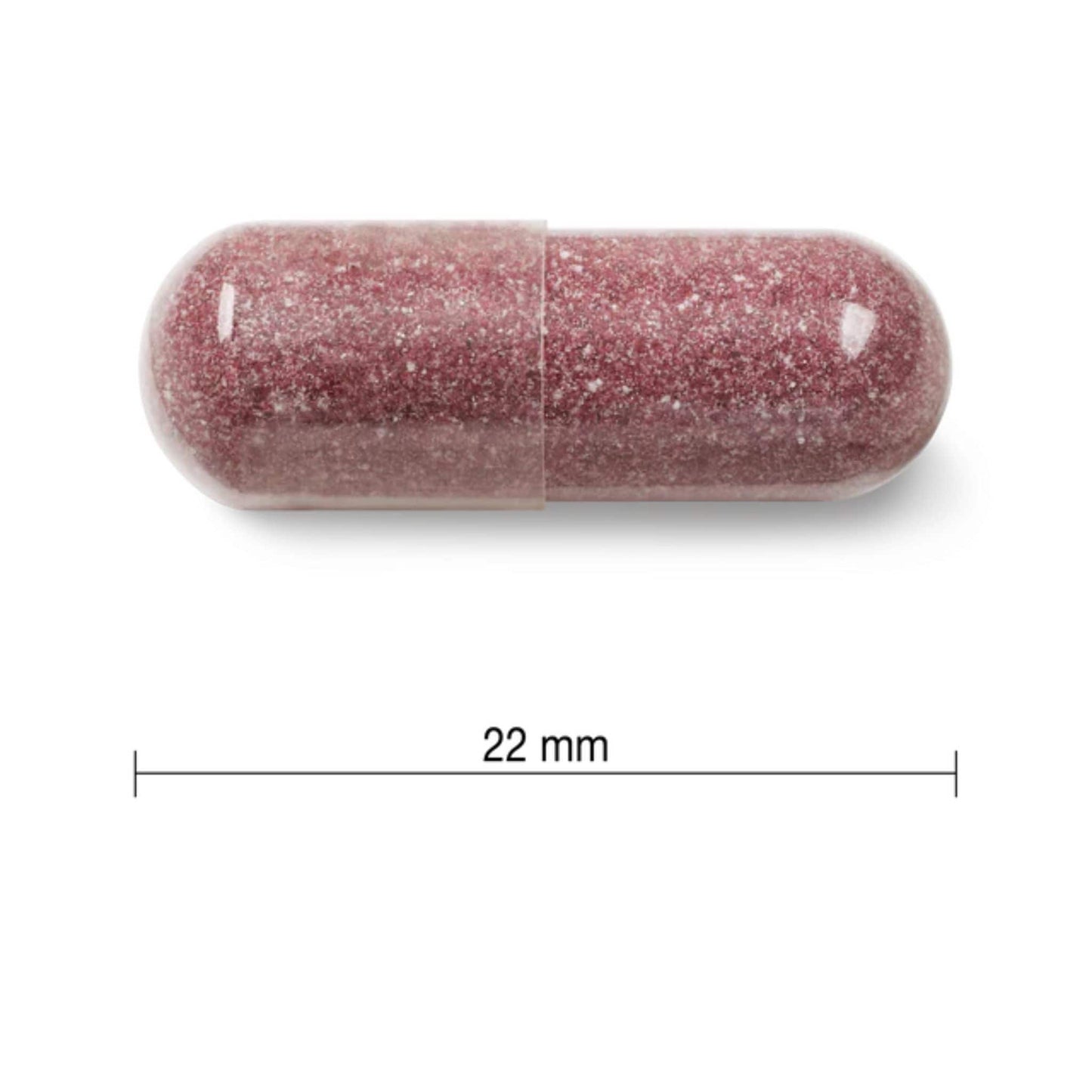 60 Capsules | Jamieson Cranberry Complex 500 mg Maximum Concentrate