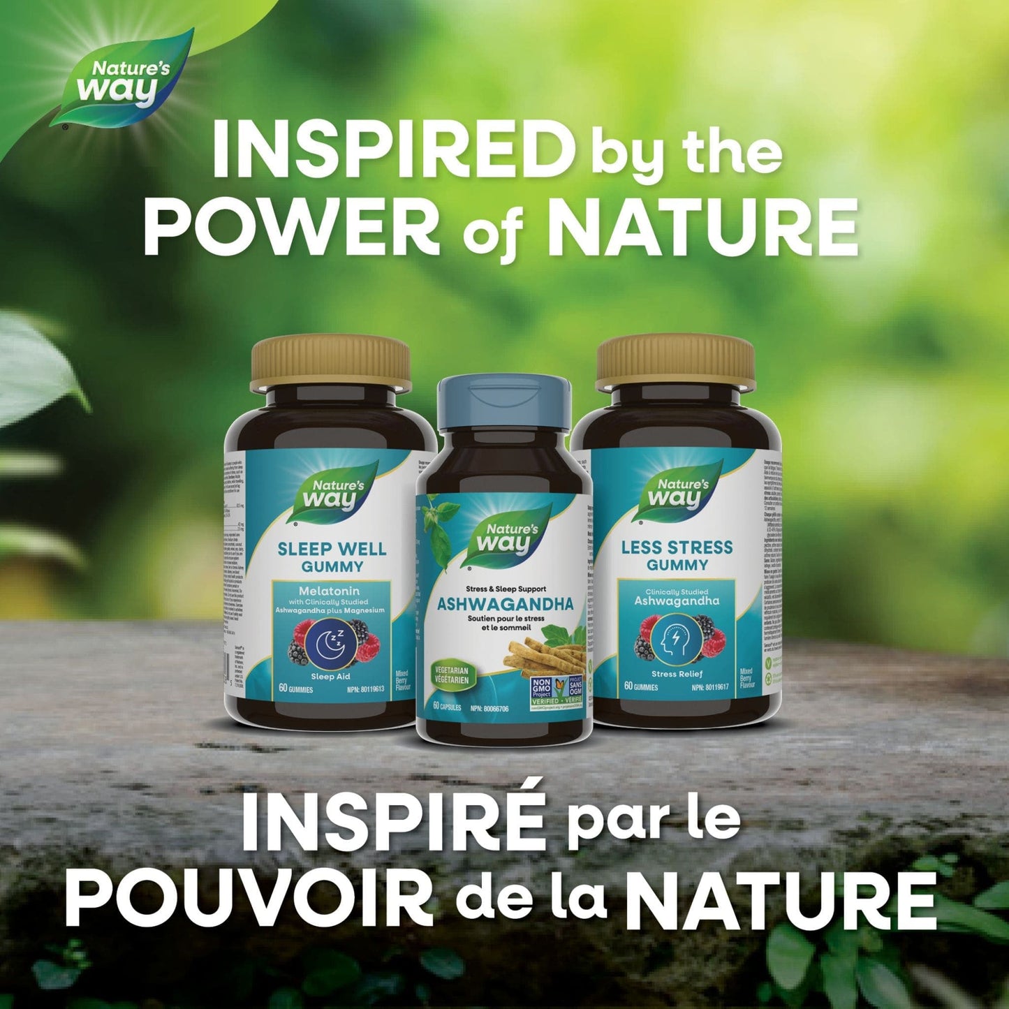 60 Capsules | Nature's Way Ashwagandha Stress and Sleep Support