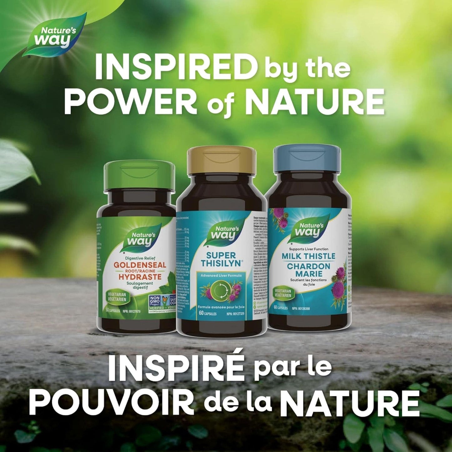 60 Capsules | Nature's Way Super Thisilyn Advanced Liver Formula