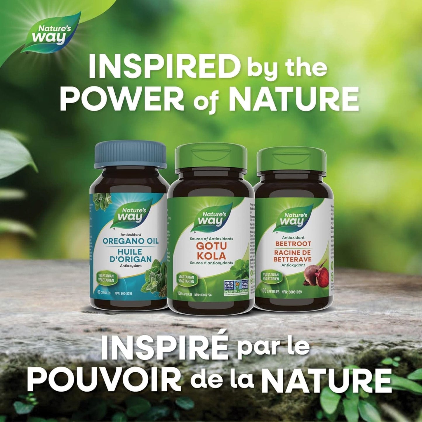 180 Vegetarian Capsules | Nature's Way Gotu Kola