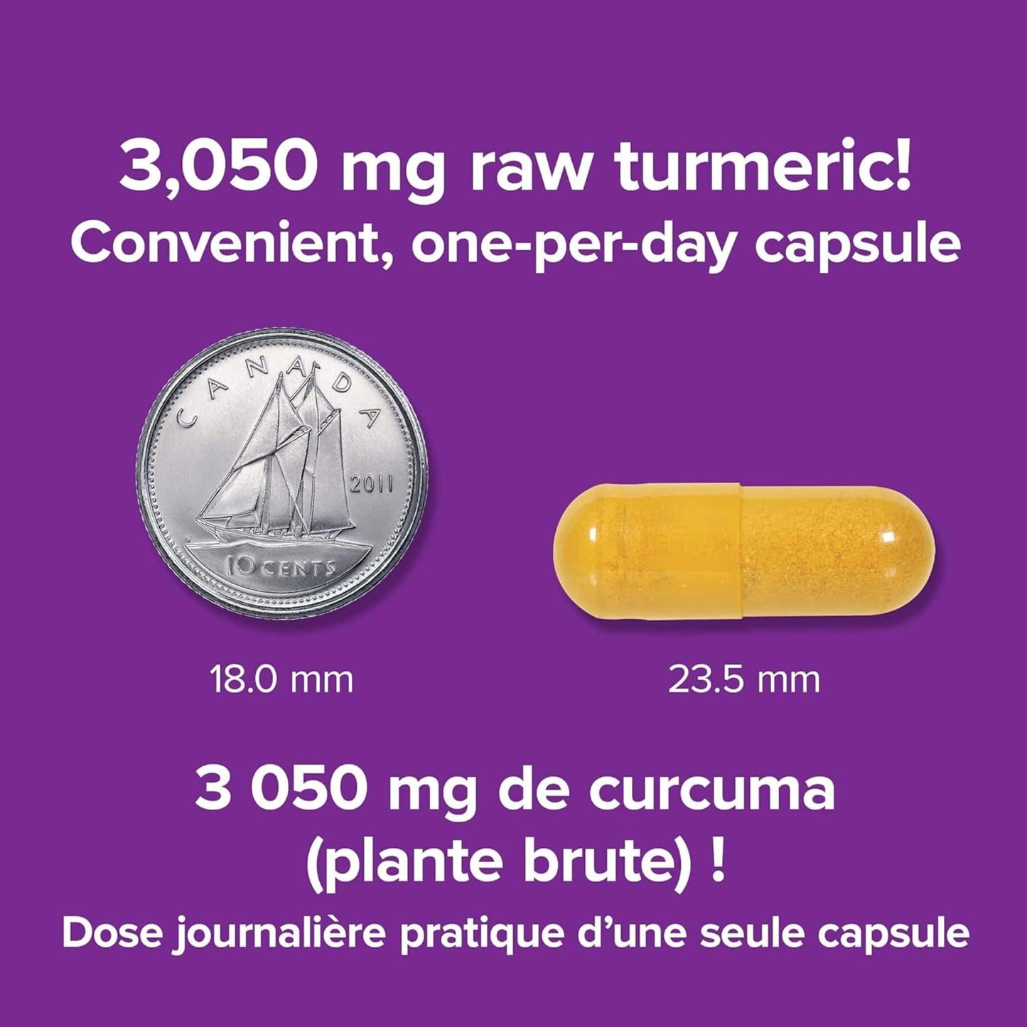 120 Vegetarian Capsules | Webber Naturals Turmeric Curcumin 3,050mg