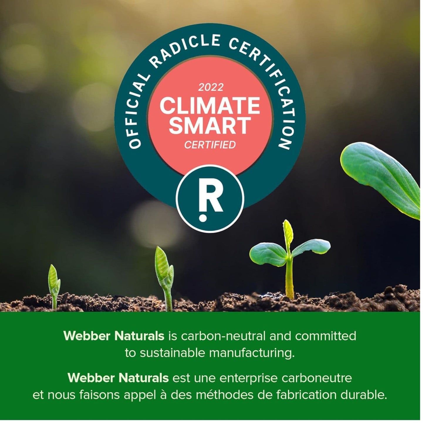 120 Softgels | Webber Naturals Vitamin E 400 IU Natural Source