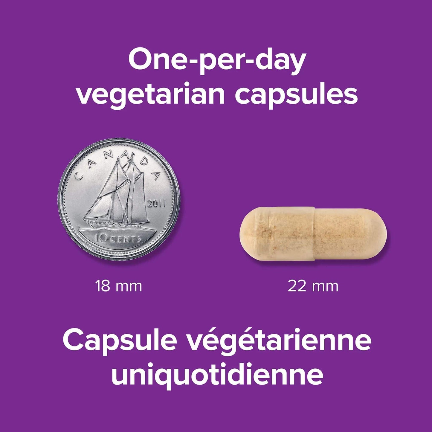 60 Vegetable Capsules | Webber Naturals Ashwagandha 7200mg One Per Day Capsule size comparison