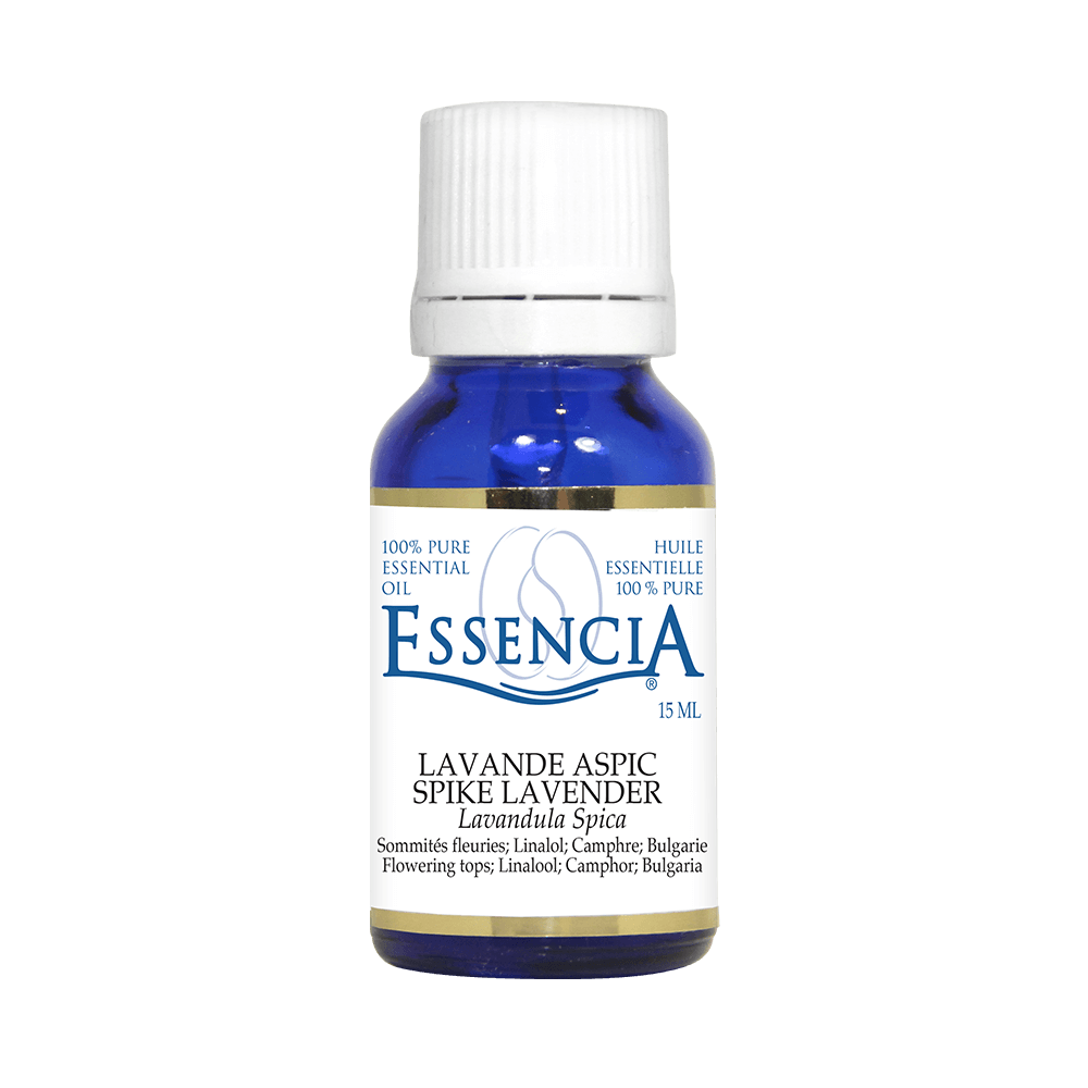Essencia Spike Lavender (Lavender Aspic) Essential Oil