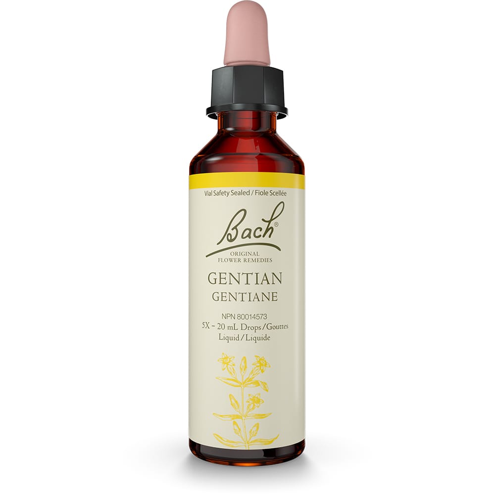 Bach Original Flower Remedy Gentian 20ml