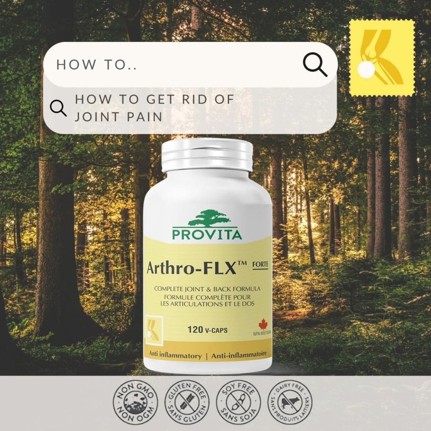 120 Vegetable Capsules | Provita Nutrition Arthro-FLX Forte