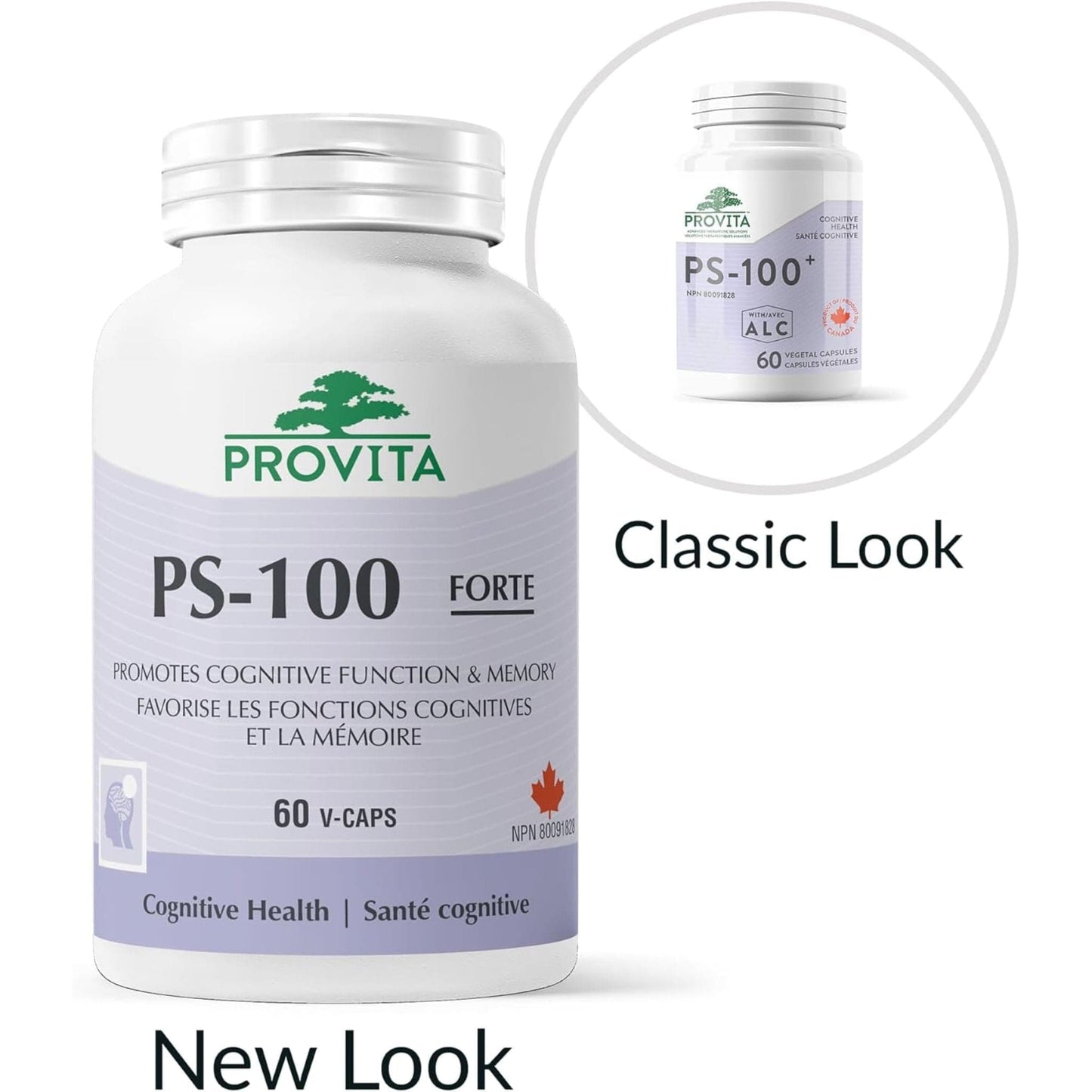 60 Vegetable Capsules | Provita Nutrition PS-100 Forte