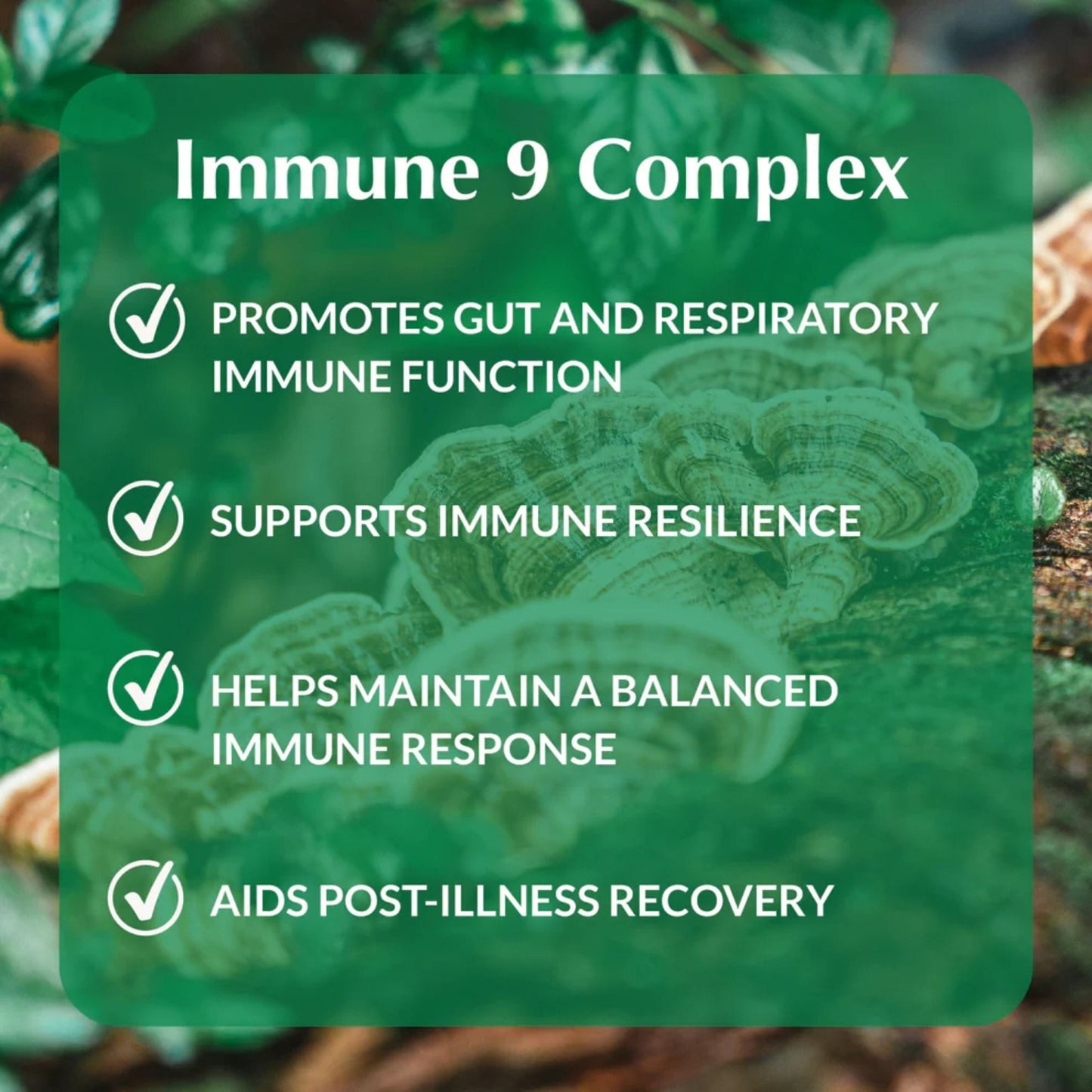 90 Vegetable Capsules | Provita Immune 9 Complex