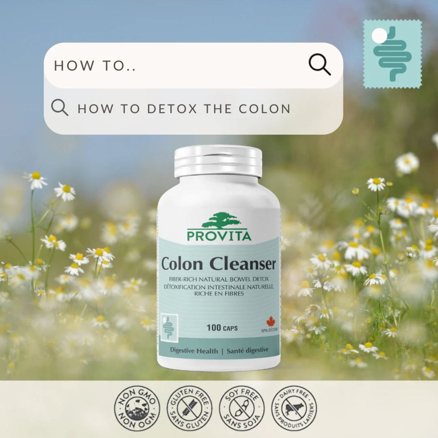 100 Capsules | Provita Nutrition Colon Cleanser