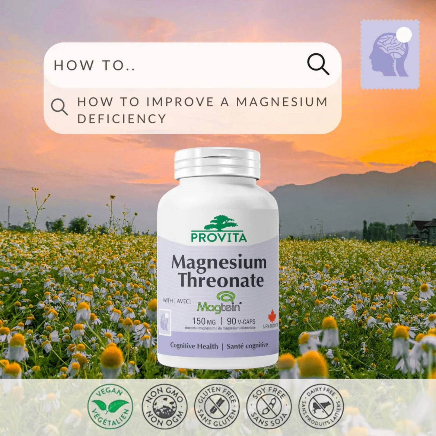 90 Vegetable Capsules | Provita Nutrition magnesium Threonate 150 mg