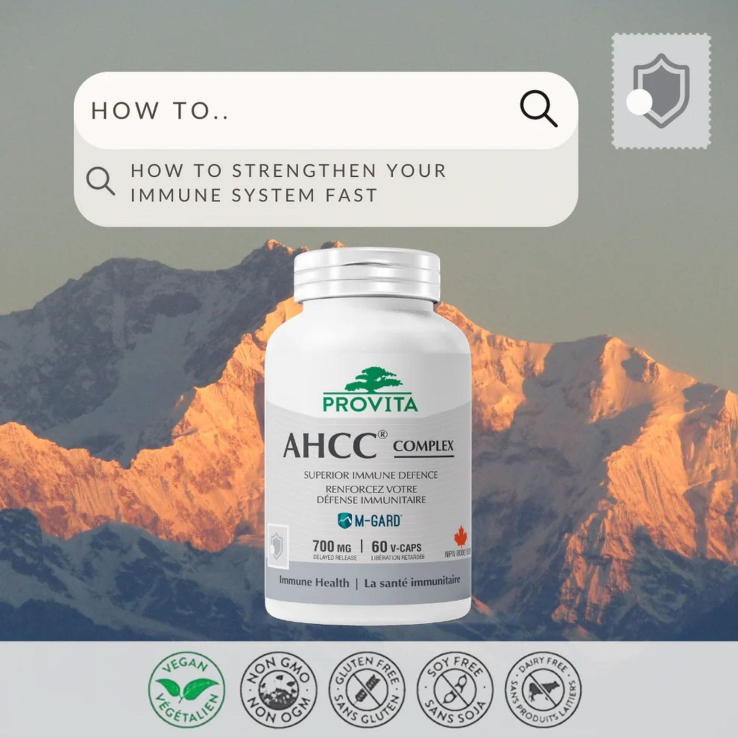 60 Vegetable Capsules | Provita AHCC Complex