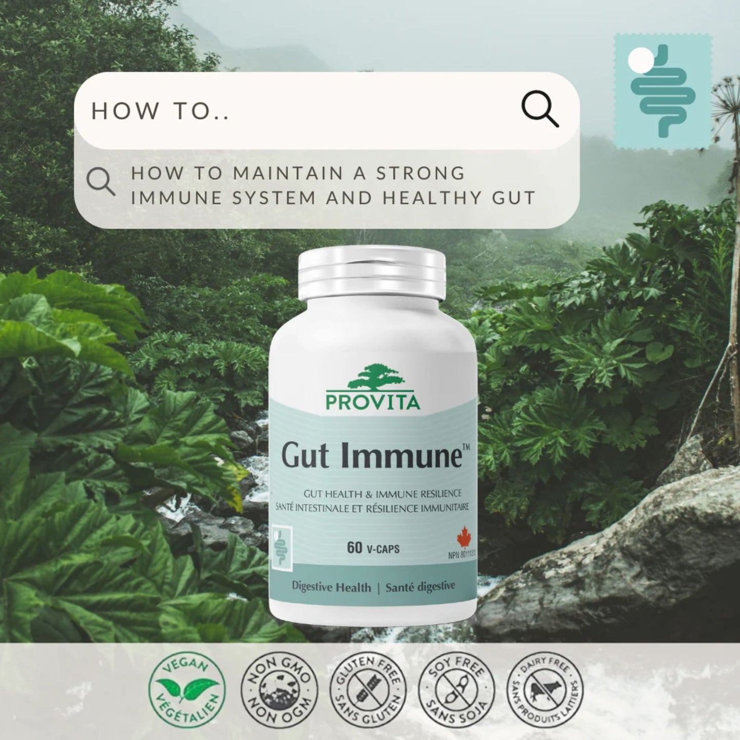 60 Vegetable Capsules | Provita Gut Immune