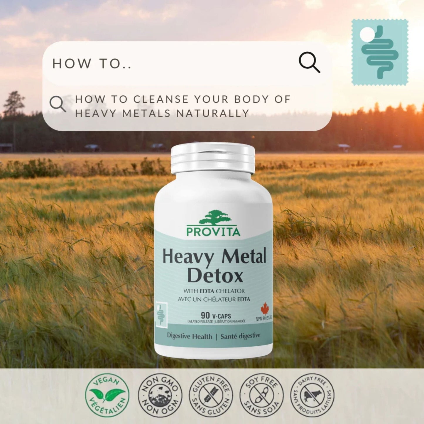 90 Vegetable Capsules | Provita Heavy Metal Detox