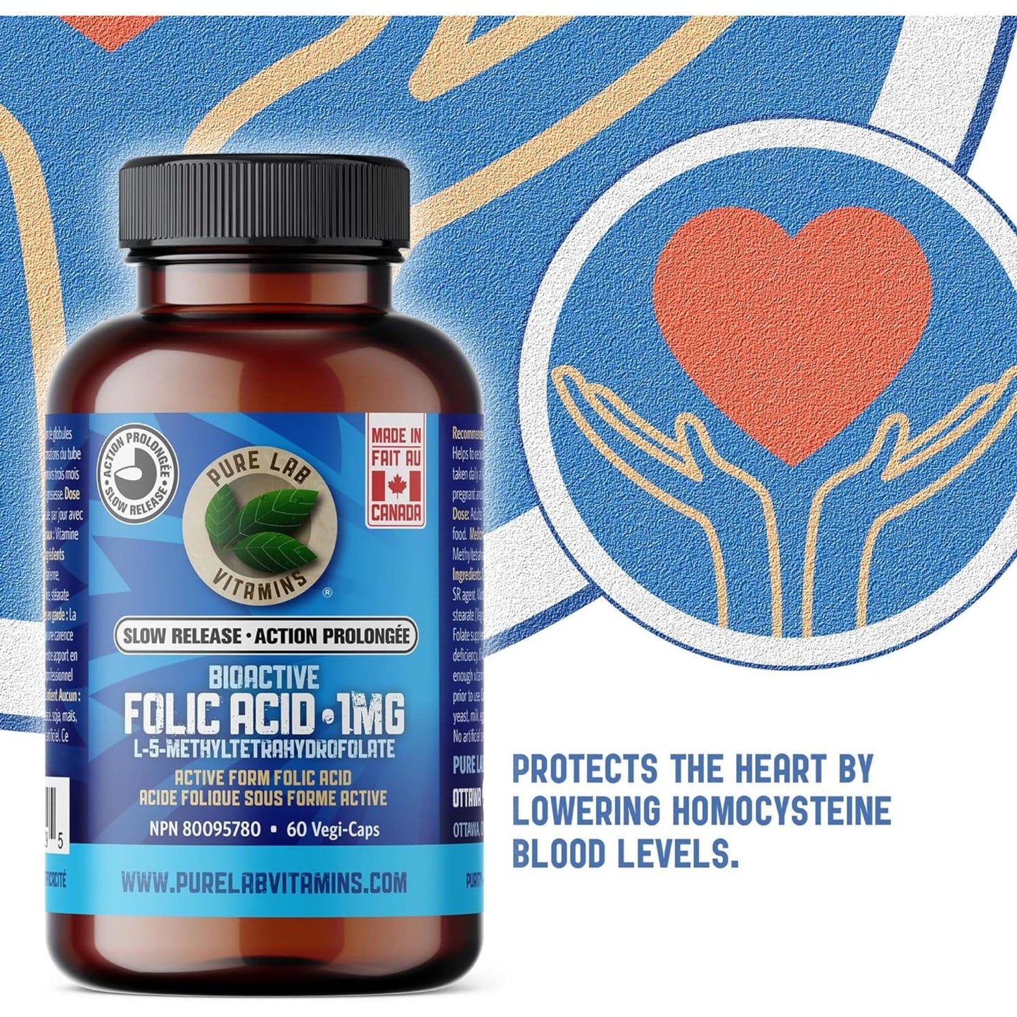 60 Vegetable Capsules | Pure Lab Vitamins Bioactive Folic Acid 1 MG Slow Release Infographic