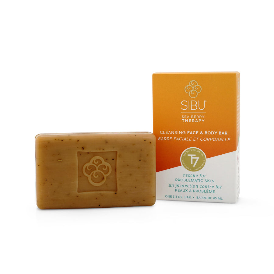 Sea Berry Therapy Cleansing Face and Body Bar with Sea Buckthorn and Oatmeal, Moisturizing Soap, Citrus Scent, 99g