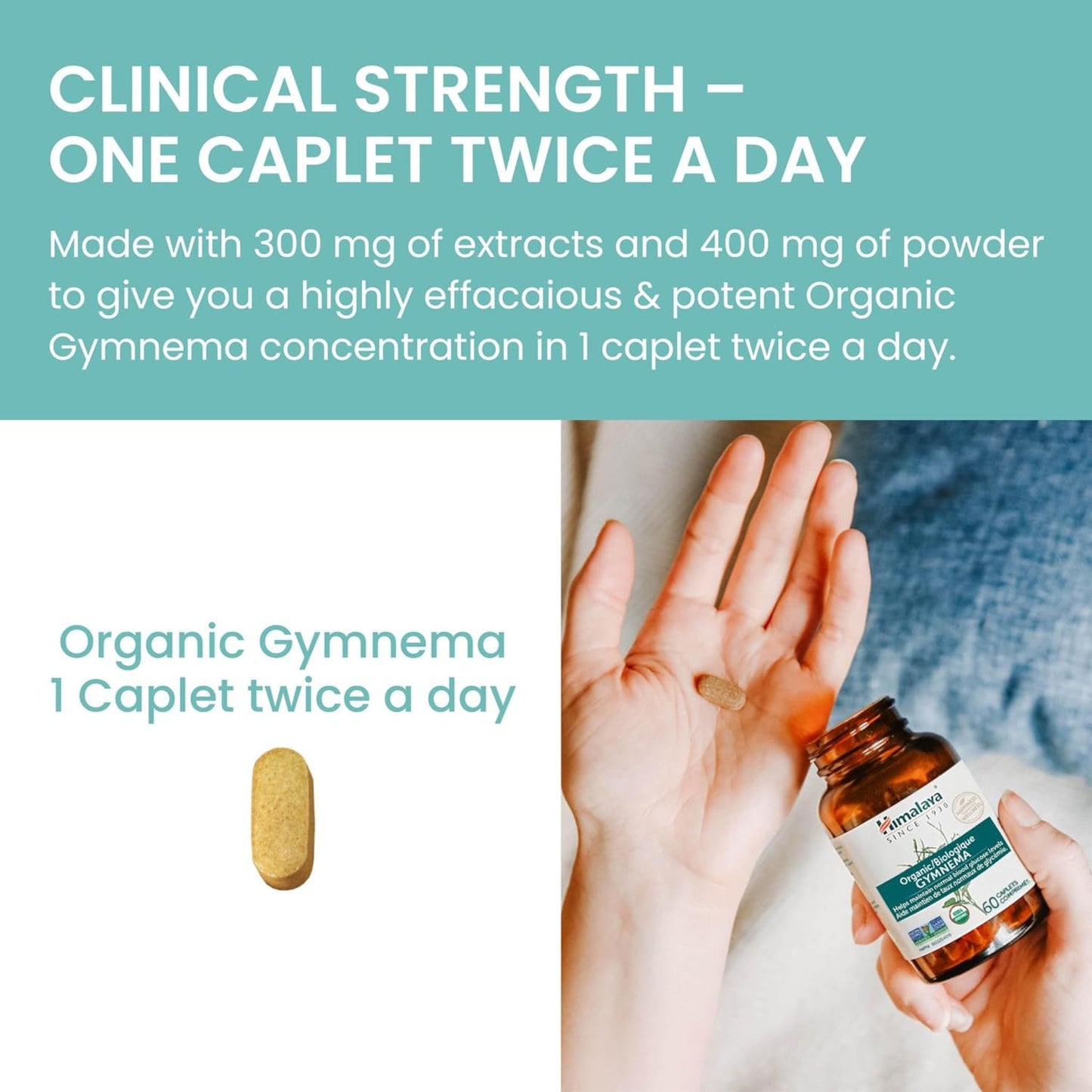Himalaya Organic Gymnema 700mg, 60 Caplets, Helps Maintain Normal Blood Glucose Levels, USDA Certified Organic, Non-GMO, Gluten Free, 1 Month Supply