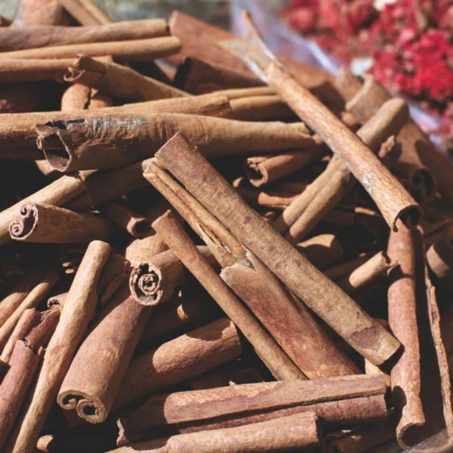 60 Coated Tablets | New Nordic Dida Lifestyle shot of cinnamon stick
