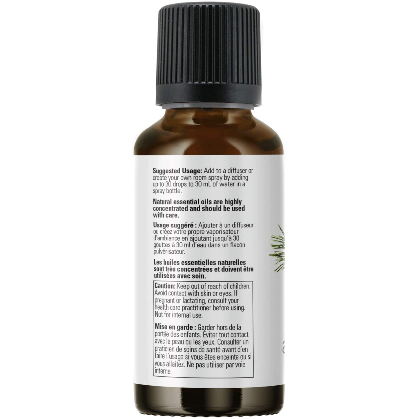 30mL | NOW 100% Pure Pine Needle Essential Oil Blend