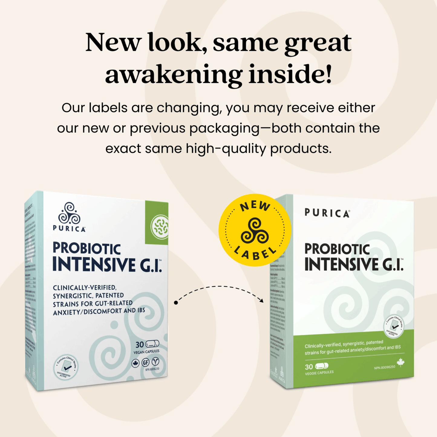 30 Vegetable Capsules | Purica Probiotic Intensive G.I