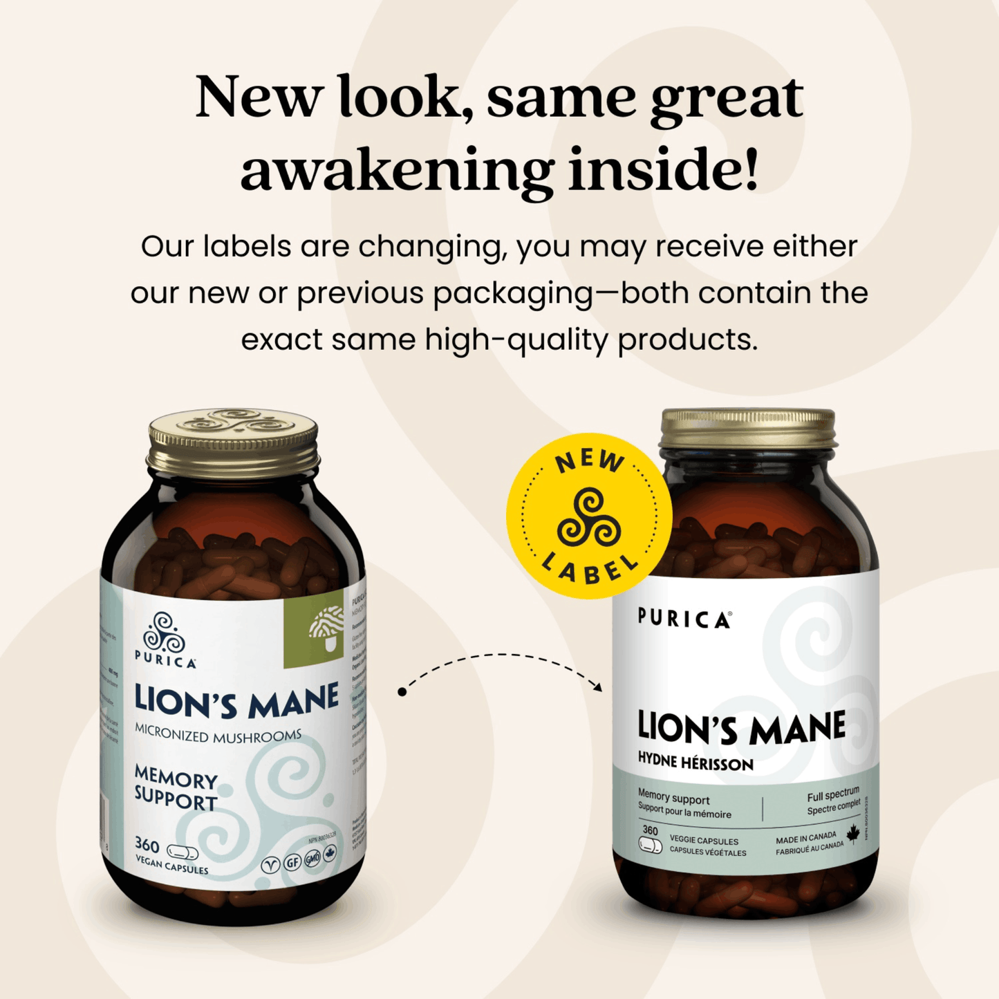 360 Vegetable Capsules | Purica Lion's Mane New Look