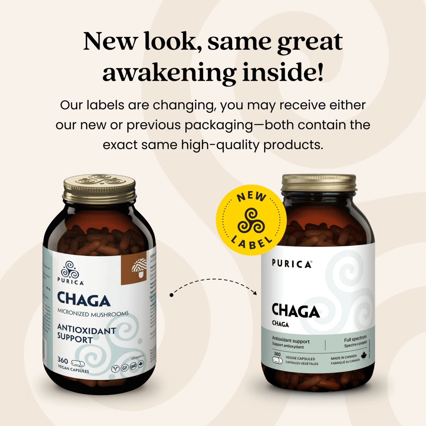 360 Vegetable Capsules | Purica Chaga