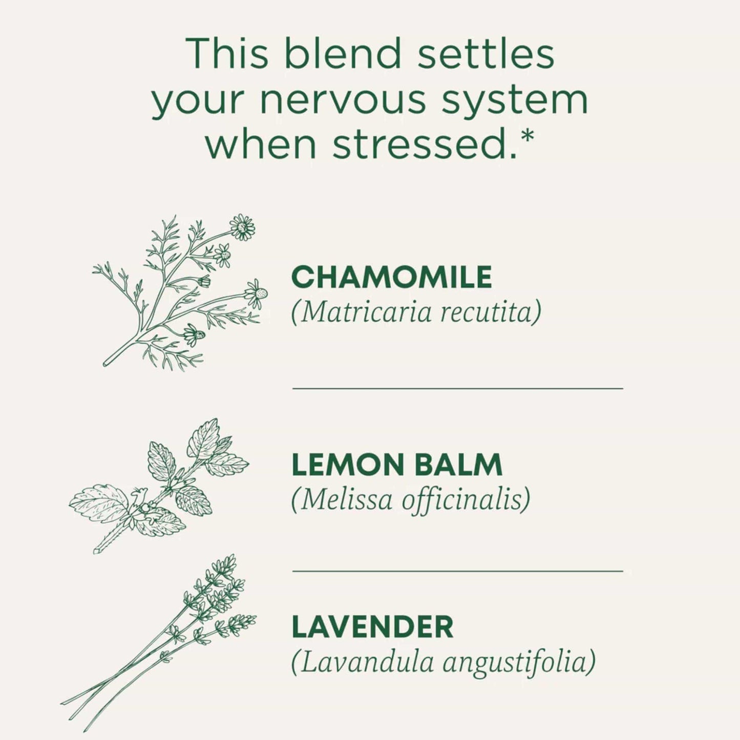 Traditional Medicinals Organic Chamomile & Lavender