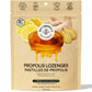 beekeepers-propolis-throat-lozenges-14ct-ginger