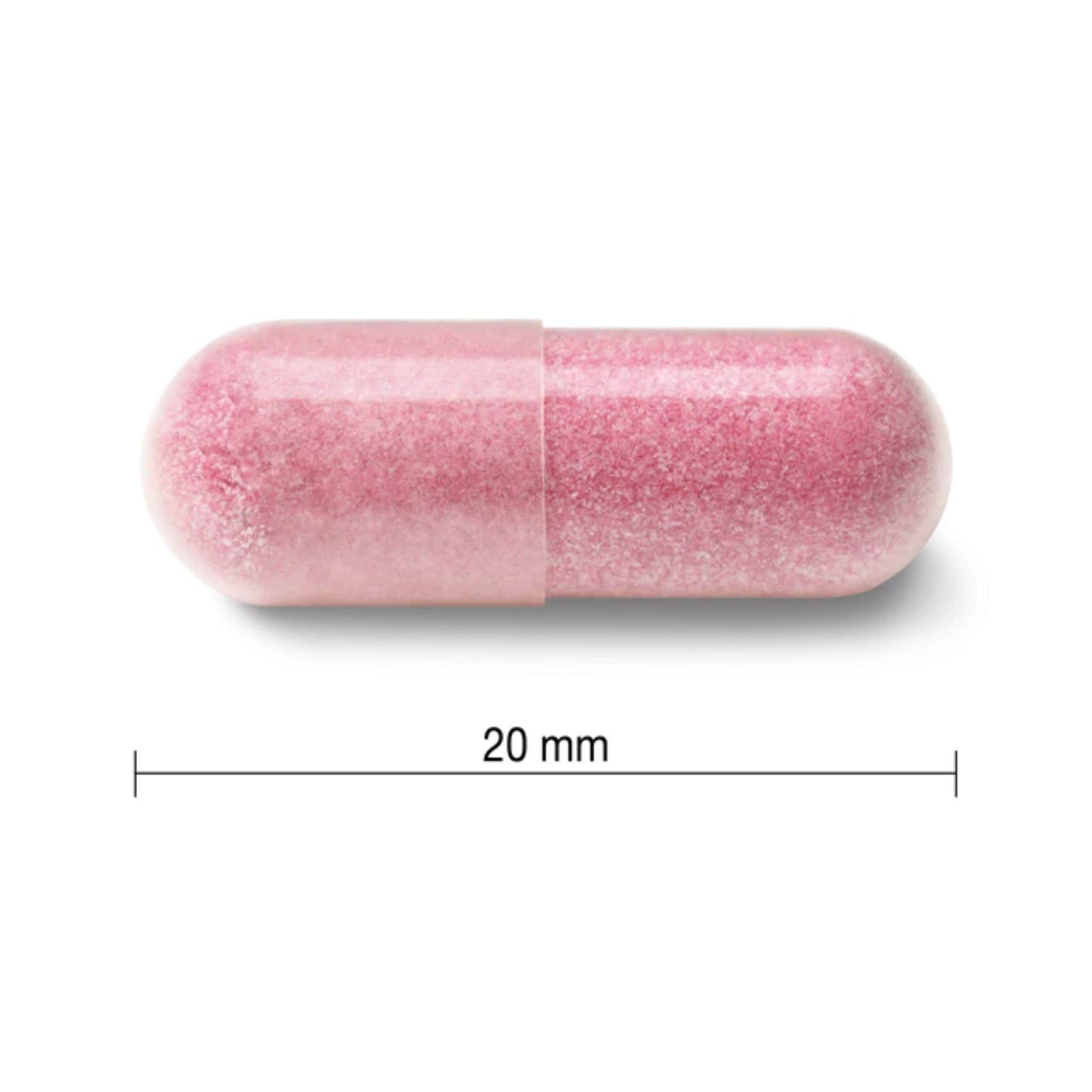 100 Vegetarian Capsules | Jamieson Cranberry 250 mg // Size Comparison