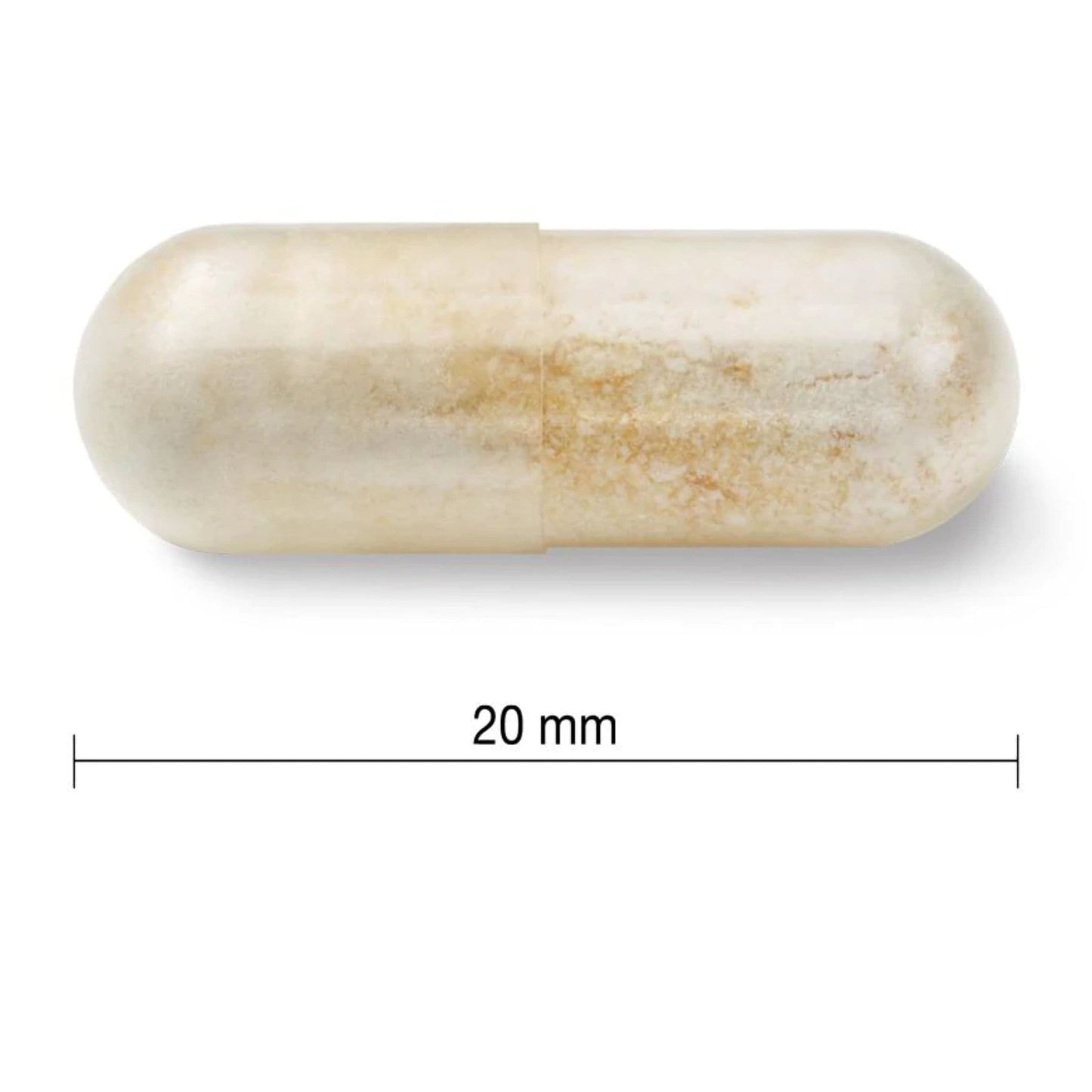 30 Vegetarian Capsules | Jamieson Probiotic 30 Billion Active Cells, 14 Unique Strains, Extra Strength // Size Comparison