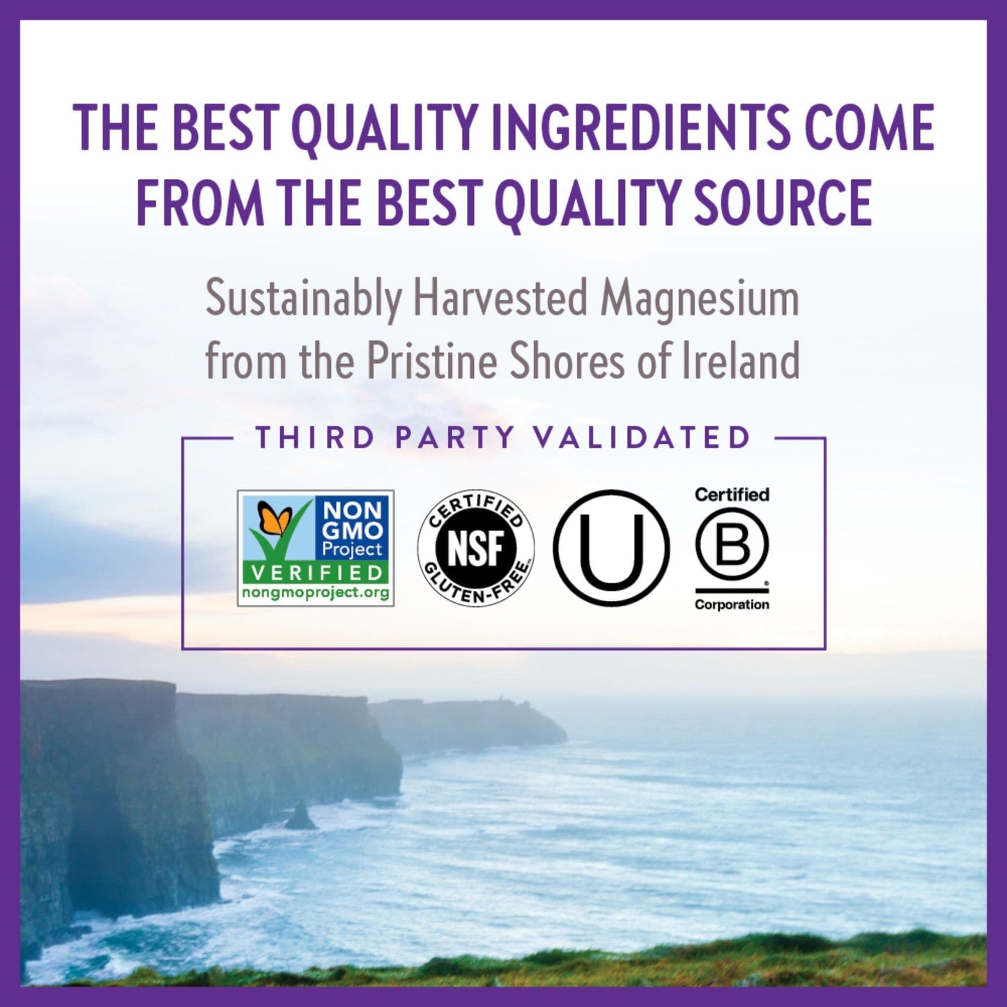 30 Tablets | New Chapter Magnesium and Ashwagandha Best Quality Ingredients