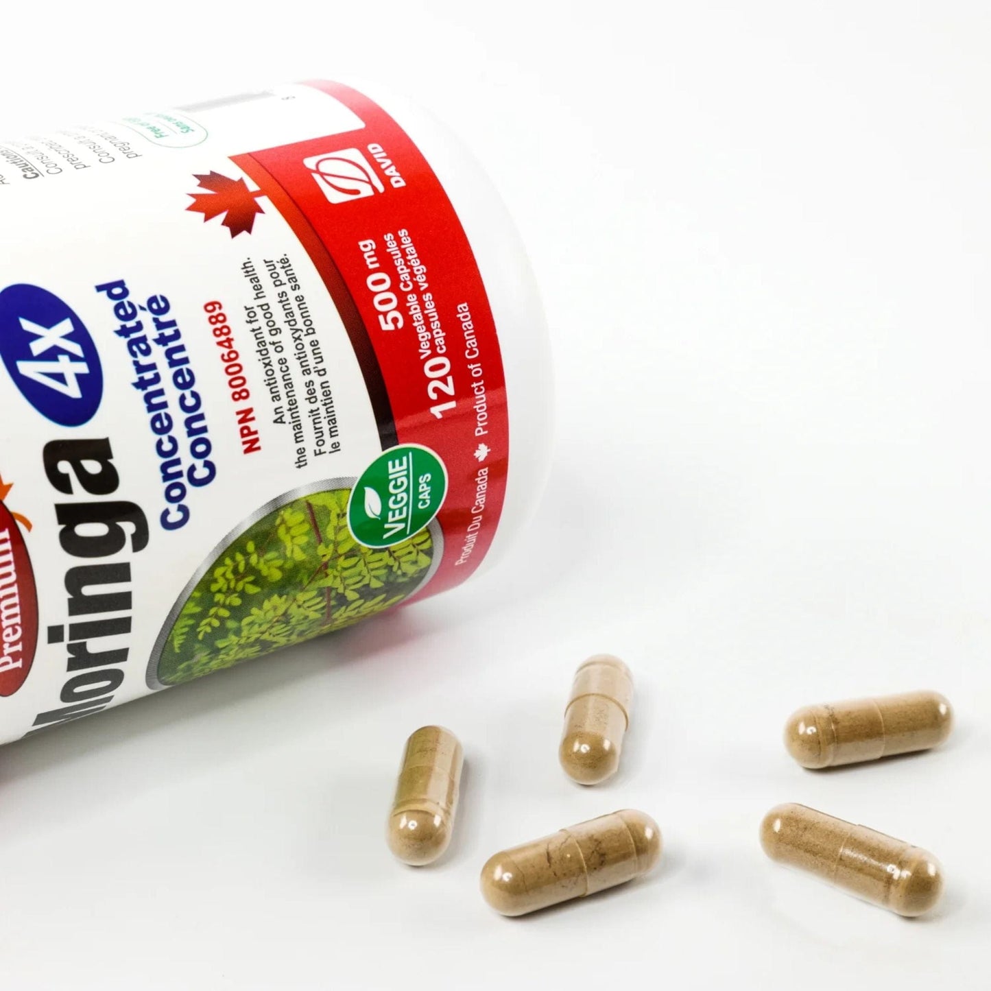 120 Vegetable Capsules | Nutridom Moringa Leaf Extract 500mg 4x Concentrated Product Capsules Shot