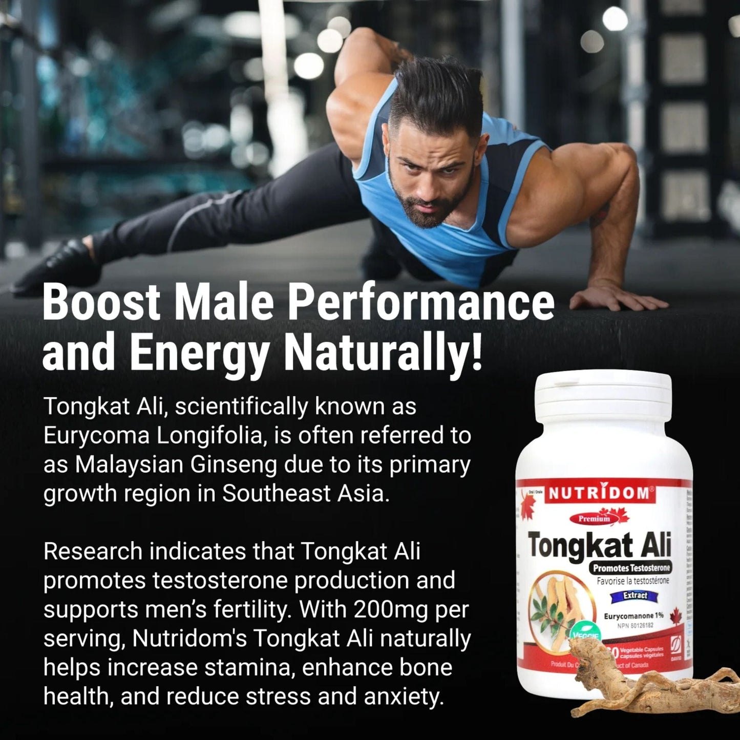 60 Vegetable Capsules | Nutridom Tongkat Ali Extract Bottle with information on boosting male performance