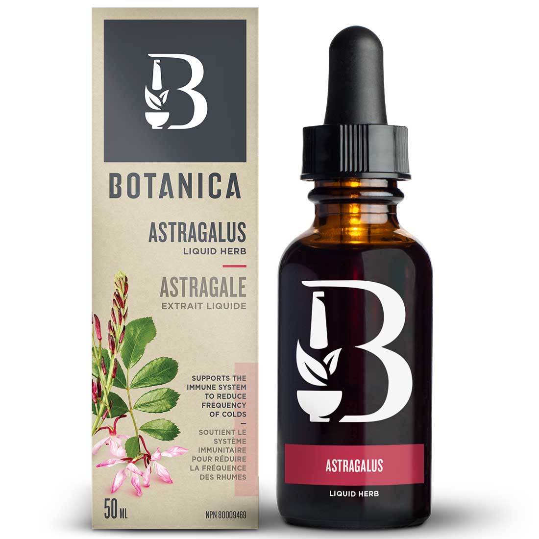 Botanica Astragalus Anti-Viral Immune System Adaptogen