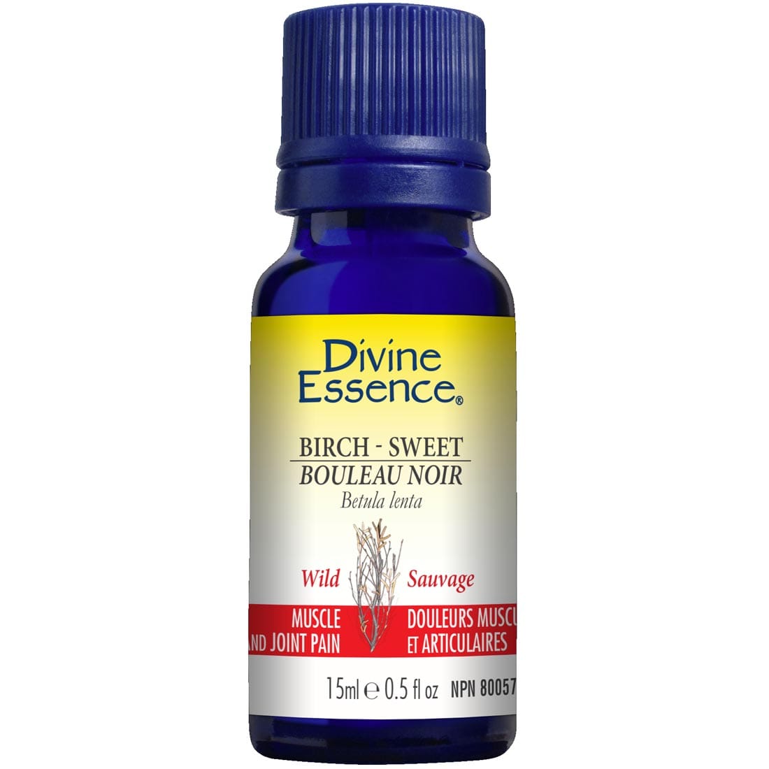 Divine Essence Birch- Sweet Essential Oil (Wild), 15ml
