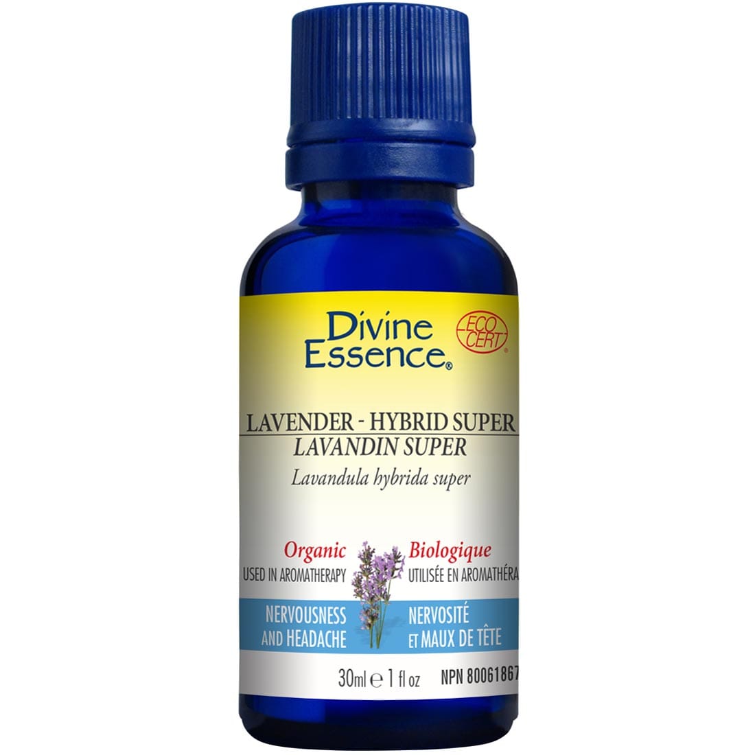 Divine Essence Lavender Hybrid Super Essential Oil (Organic), 30ml